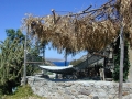 ferien-in-bodrum-gumusluk-22.jpg