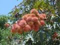ferien-in-bodrum-sandima-04.jpg