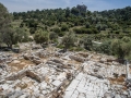 20140508-pedasa-01