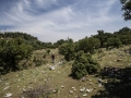 20140508-pedasa-16
